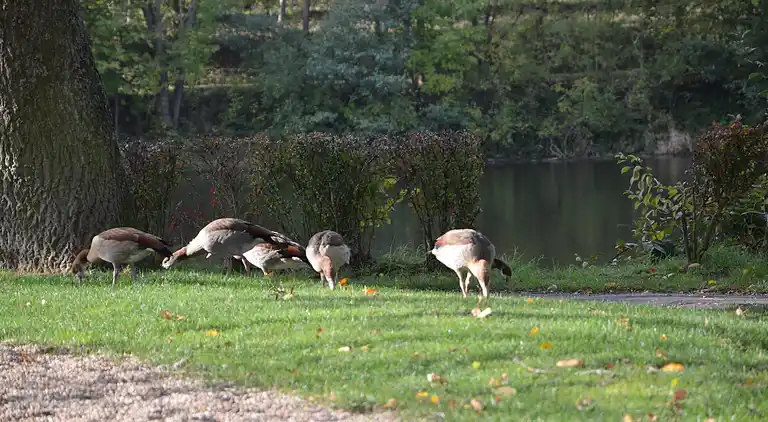 Farm house in Einruhr