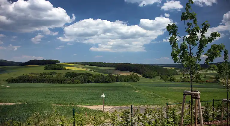 Holiday home in Schuld