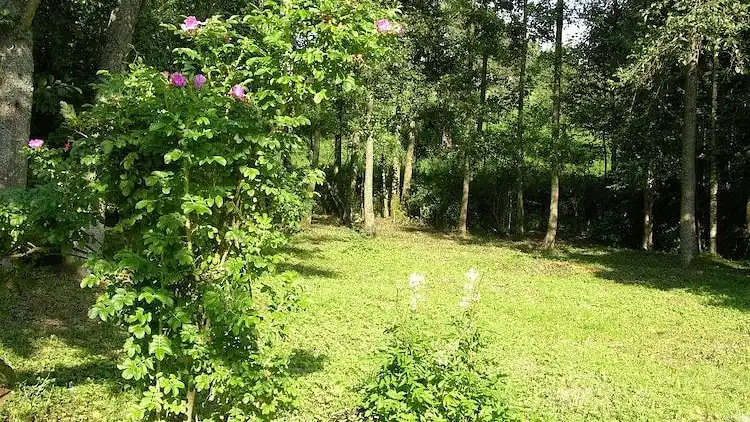 Sommerhus i Gelenberg