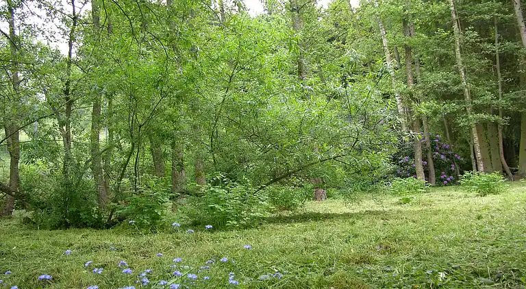 Sommerhus i Gelenberg