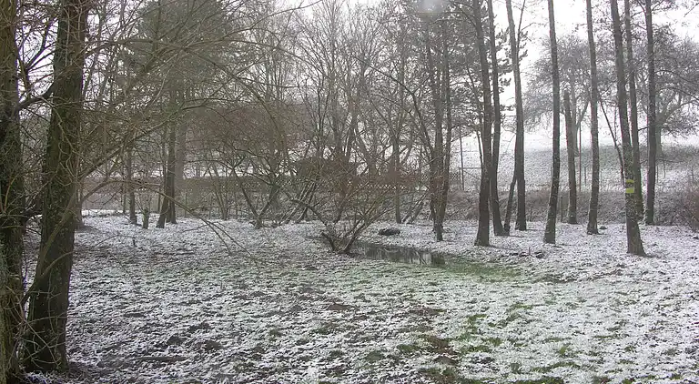 Sommerhus i Gelenberg