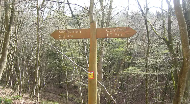 Feriebolig i Gemünd