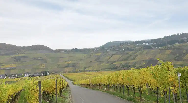 Apartment in Trittenheim