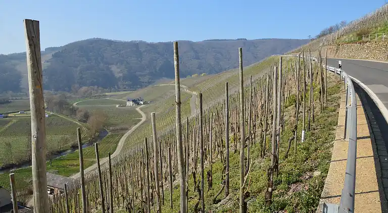 Apartment in Trittenheim