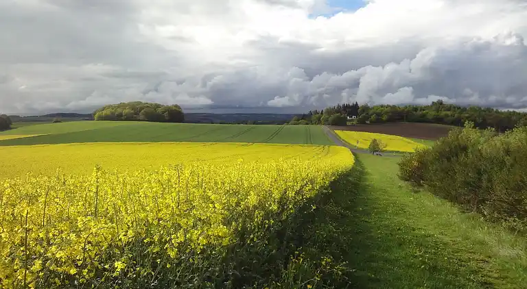 Sommerhus i Pilmeroth