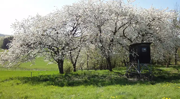 Sommerhus i Pilmeroth