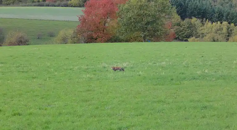 Sommerhus i Pilmeroth