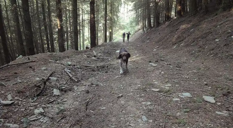 Sommerhus i Pilmeroth