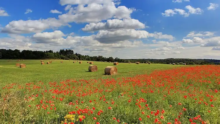 Apartment in Bombogen