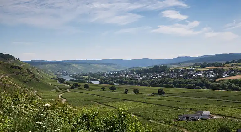 Holiday home in Heckenmünster