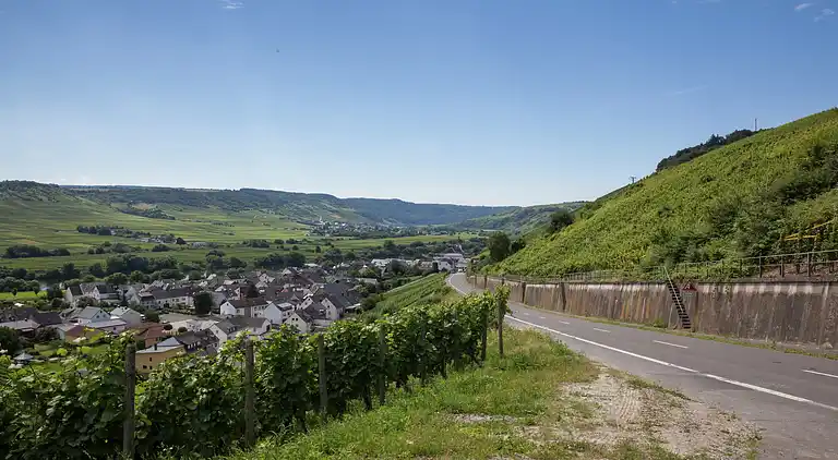 Holiday home in Heckenmünster