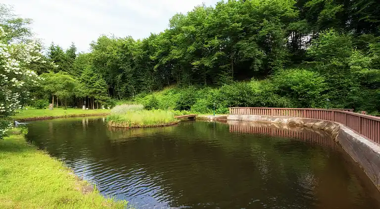 Holiday home in Esch