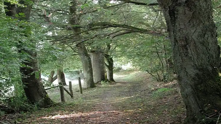 Ferielejlighed i Raskop