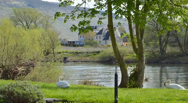 Sommerhus i Moselle