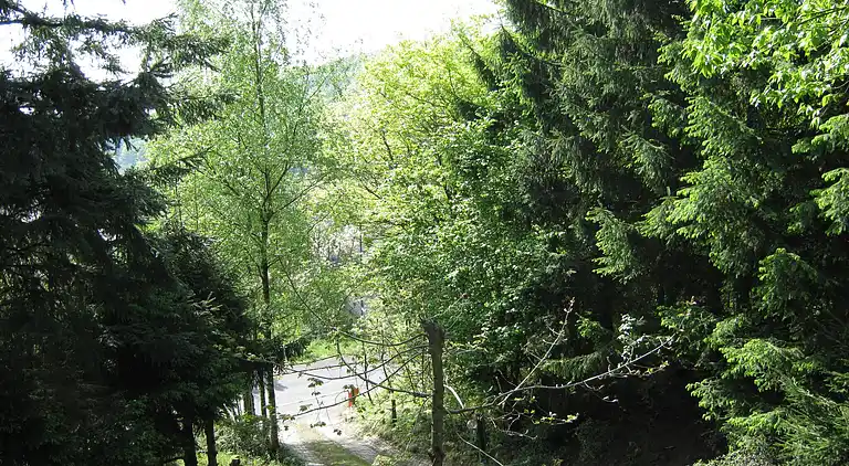 Ferielejlighed i Immerath