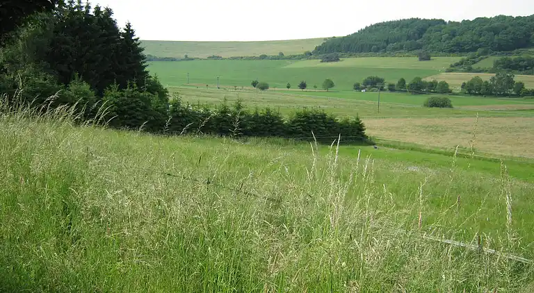 Ferielejlighed i Immerath