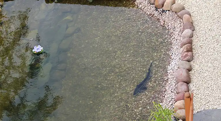 Apartment in Schalkenmehren