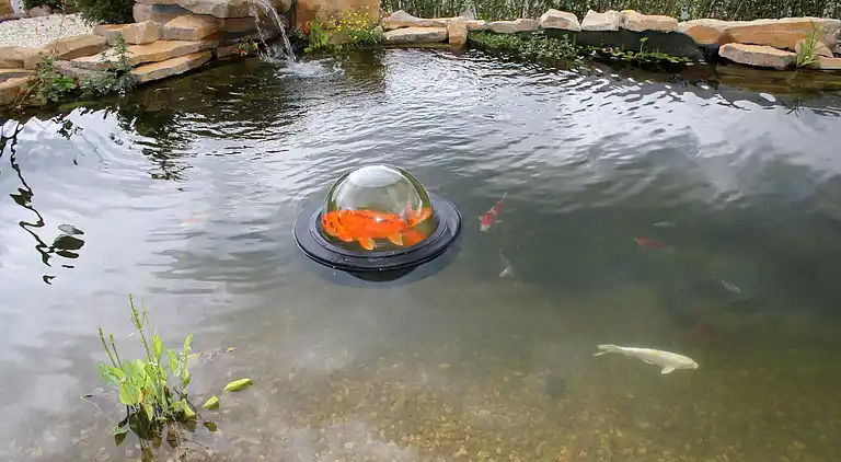 Apartment in Schalkenmehren