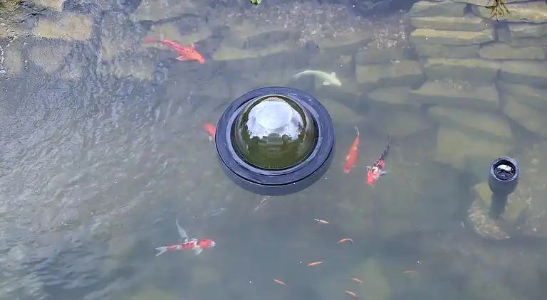 Apartment in Schalkenmehren