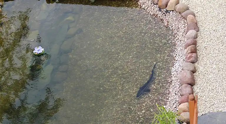 Apartment in Schalkenmehren