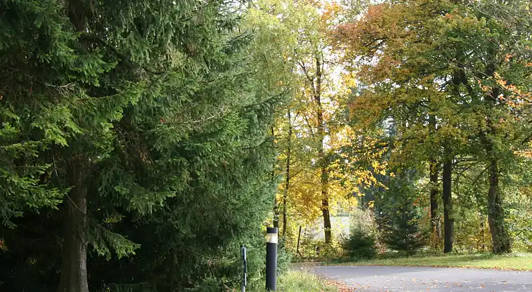 Sommerhus i Gerolstein