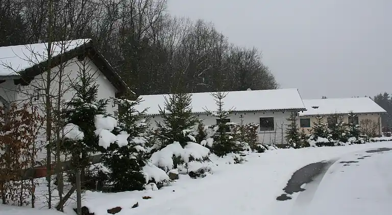 Sommerhus i Ferienhausgebiet Hillenseifen