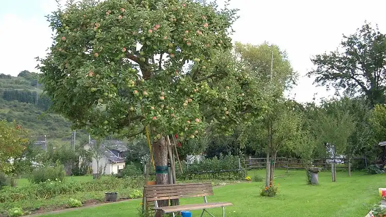 Holiday home in Gees