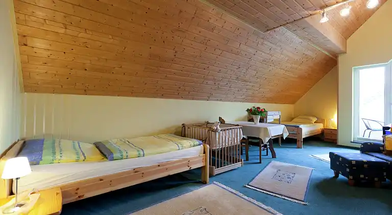 Ferielejlighed i Gerolstein