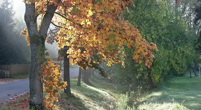 Leilighet i Meisburg