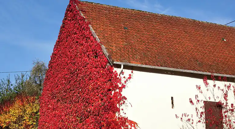 Leilighet i Meisburg