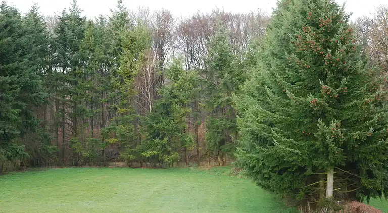 Ferielejlighed i Bolsdorf