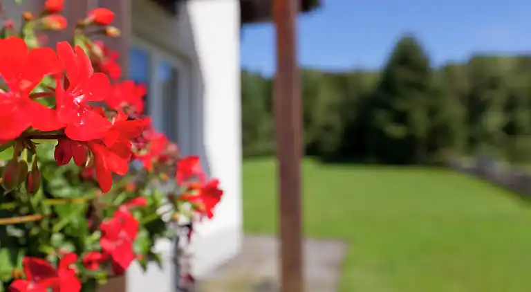 Ferielejlighed i Bolsdorf