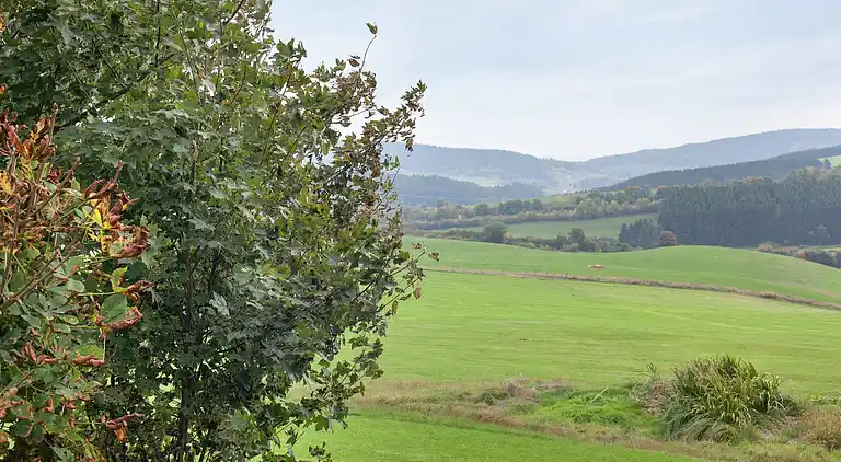 Holiday home in Olzheim