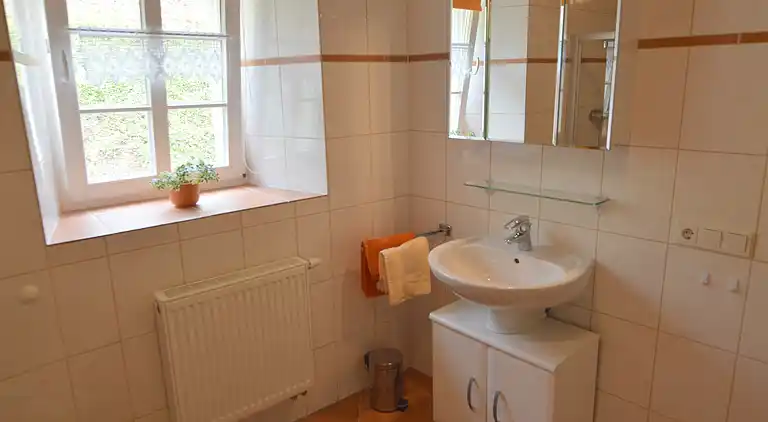 Apartment in Plütscheid