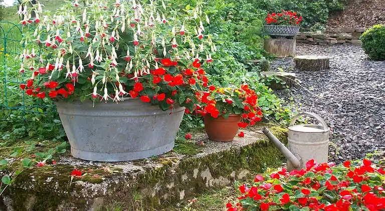 Apartment in Plütscheid