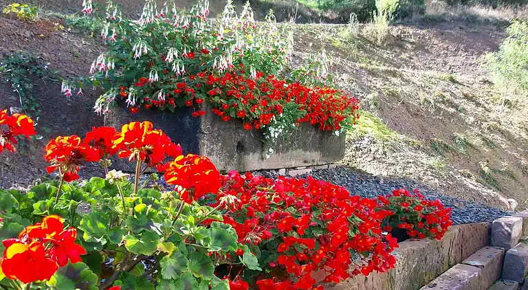 Apartment in Plütscheid