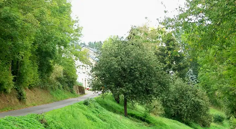 Apartment in Plütscheid