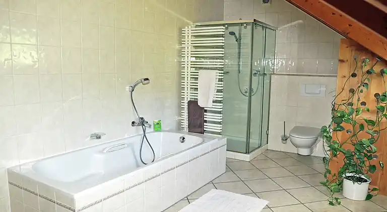 Holiday home in Neustraßburg