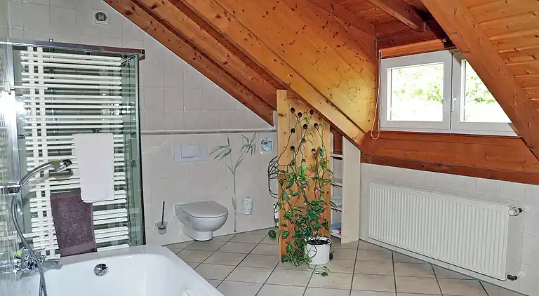 Holiday home in Neustraßburg