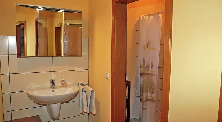 Holiday home in Neustraßburg