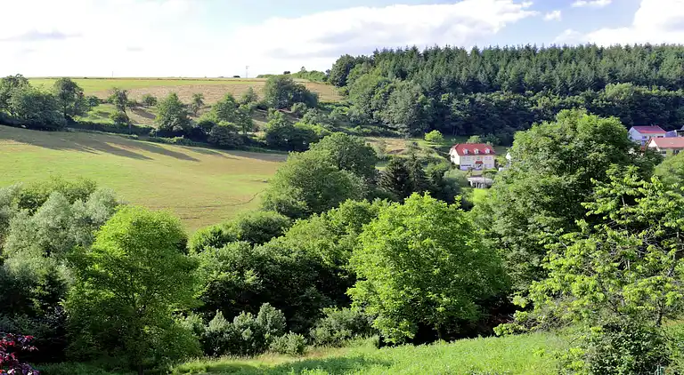 Holiday home in Neustraßburg