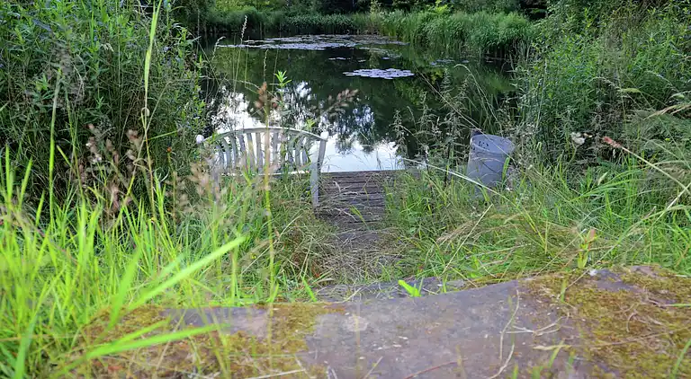 Holiday home in Neustraßburg