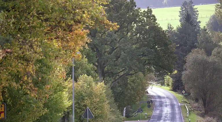 Ferielejlighed i Bleialf