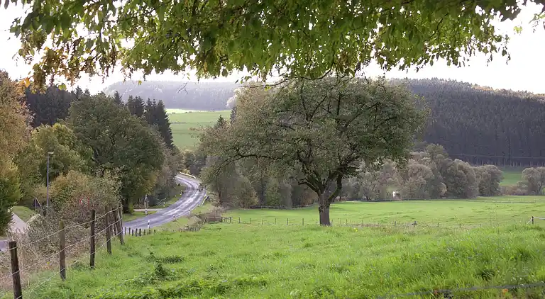 Ferielejlighed i Bleialf