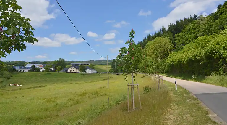 Leilighet i Sellericherhöhe