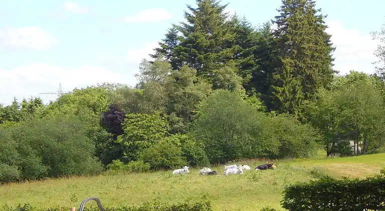 Ferienhaus in Buchet