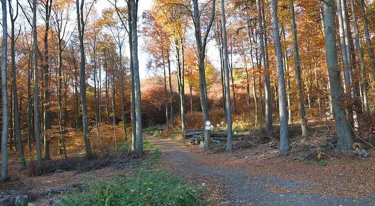 Holiday home in Bad Ems