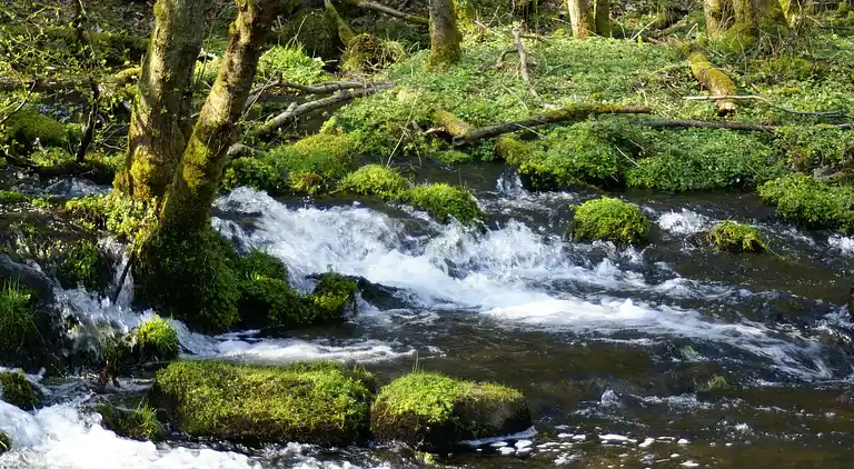 Ferielejlighed i Neuhochstein