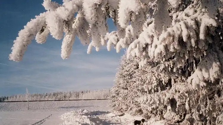 Sommerhus i Zehnhausen bei Rennerod