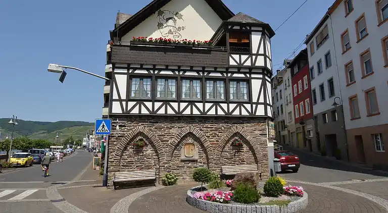 Ferienwohnung in Hammelswiese